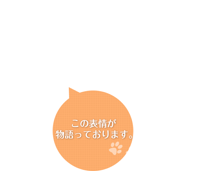 ストレスフリーなサロンです。