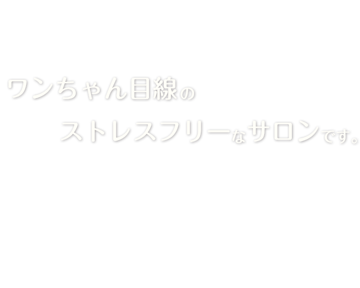 この表情が物語っております。